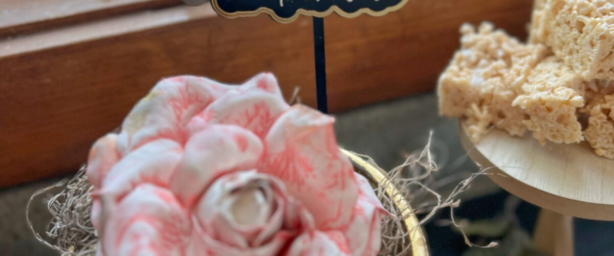 Schitt’s Creek Inspired Baby Shower/Sprinkle